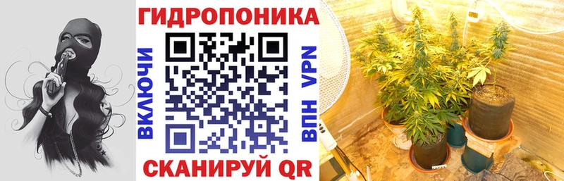 Конопля Bruce Banner  Зубцов 